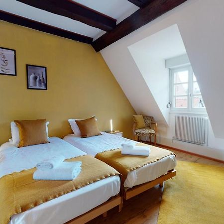 Aux Bijoux De Colmar - Le Saphir - 1 Parking Gratuitアパートメント エクステリア 写真
